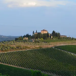 Damario Panorama Guest house