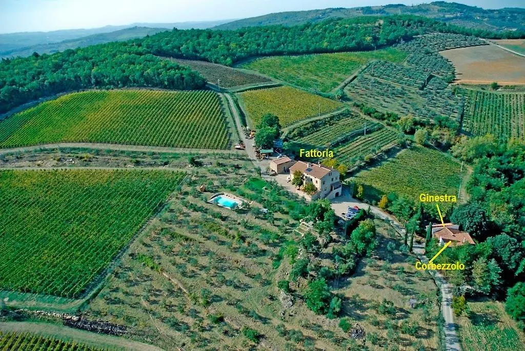 Ginestra Apartment, Into The Vineyard Panzano in Chianti Italy