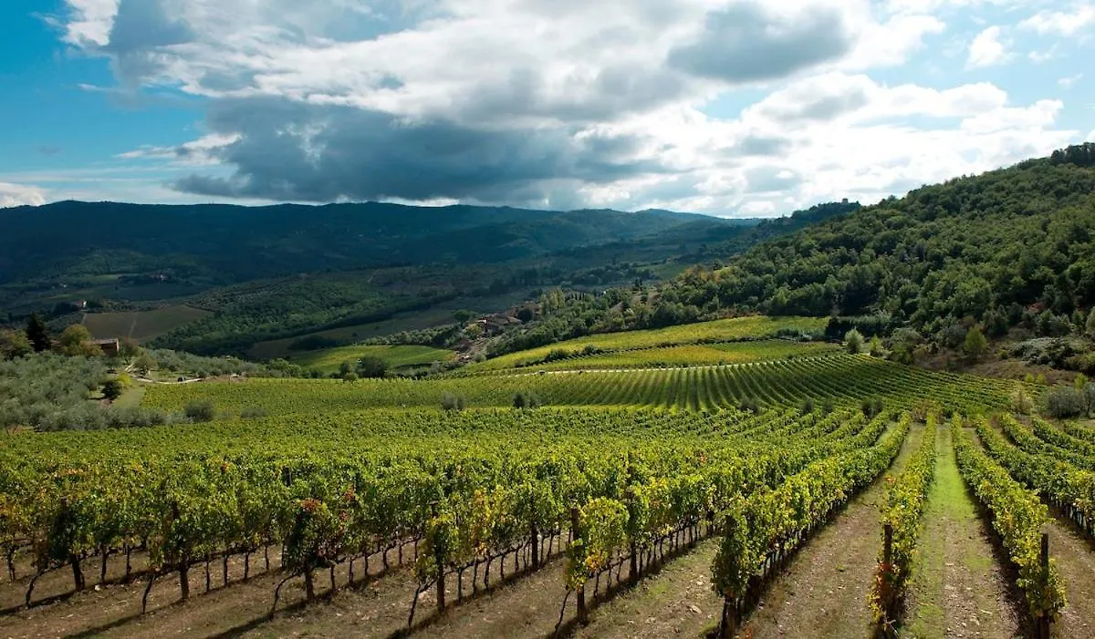 Apartment Ginestra Apartment, Into The Vineyard Panzano in Chianti